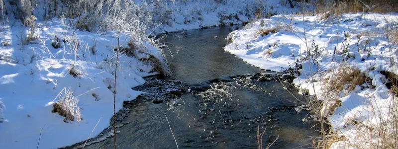 Featured image of post A year later, here we go