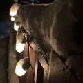 End of year update