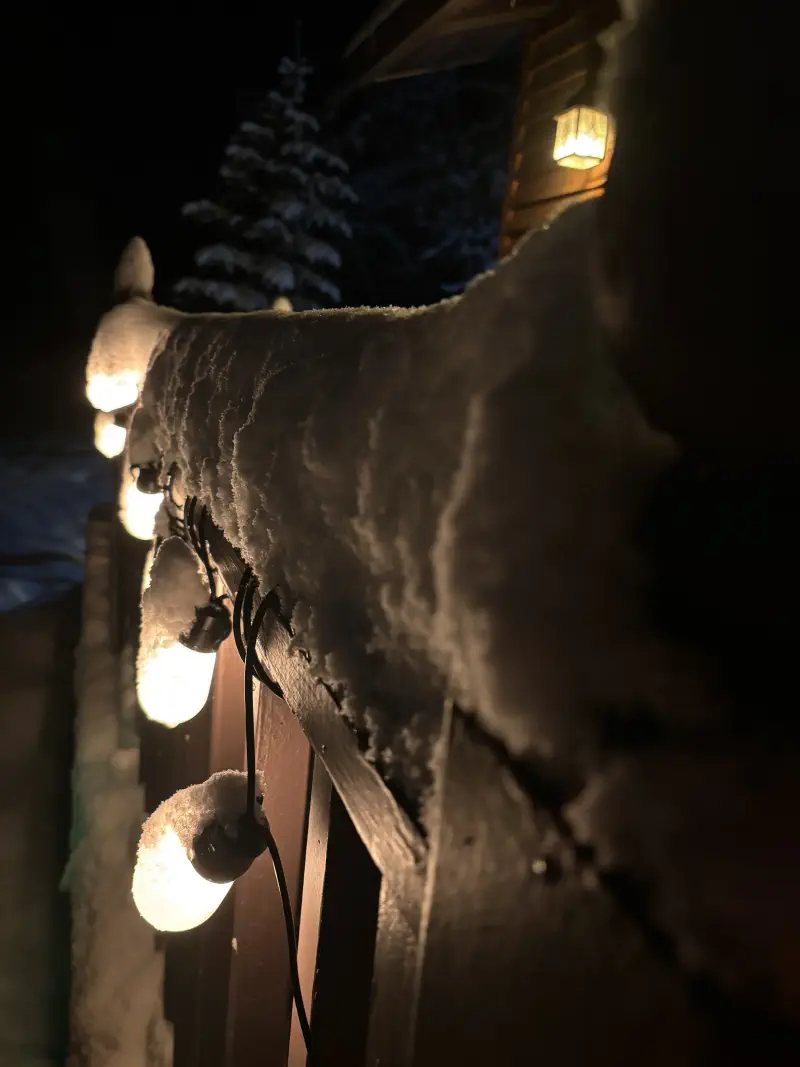 Featured image of post End of year update