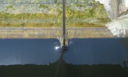 Featured image of post Scripps GLP-1 drug trial