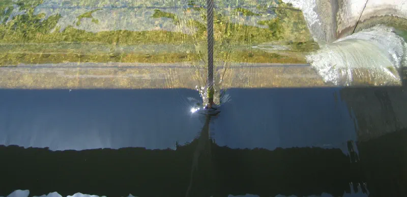 Featured image of post Scripps GLP-1 drug trial