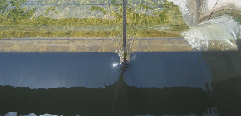 Featured image of post Scripps GLP-1 drug trial